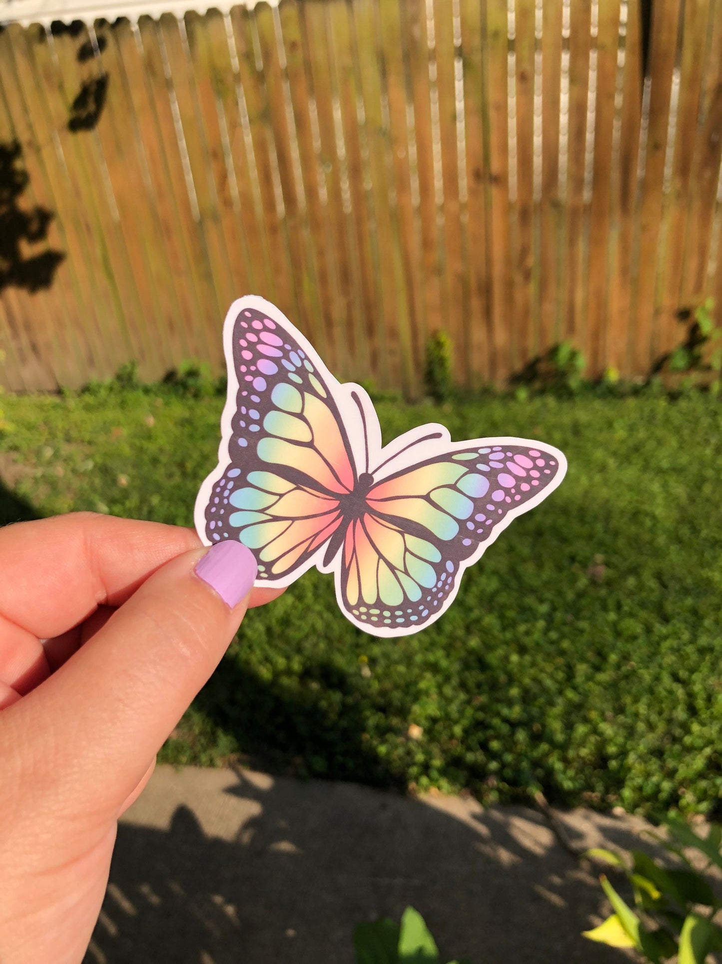 Rainbow Butterfly sticker decal